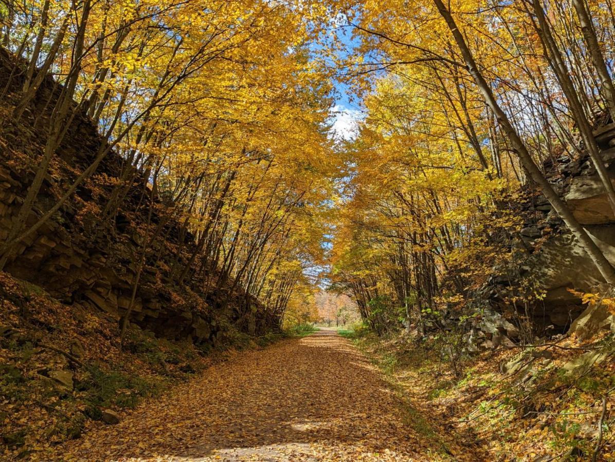 Stay In Ohiopyle In The Middle Of Town By The Gap Trail מראה חיצוני תמונה